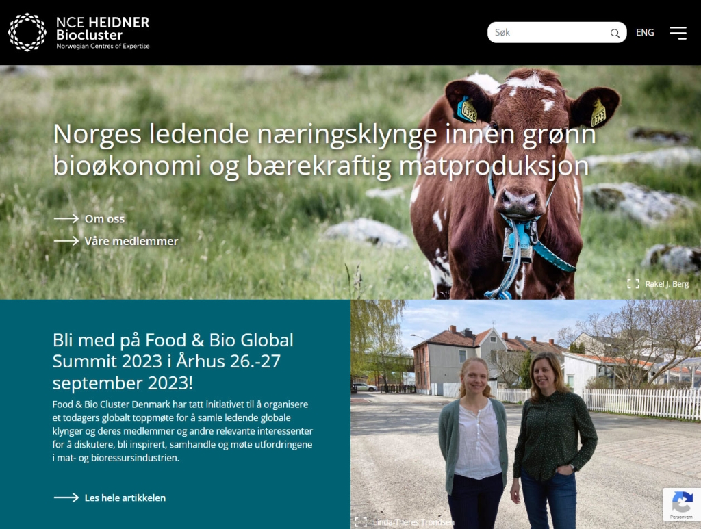 reklamebyra hamar